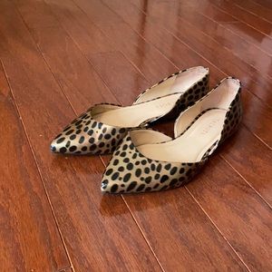 Spotted Pointy Toe Talbots Flats size 7